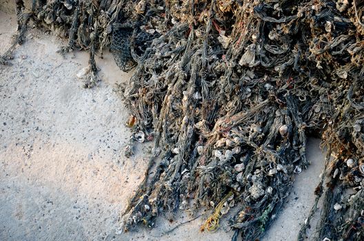 Fishing nets with seashell sticky