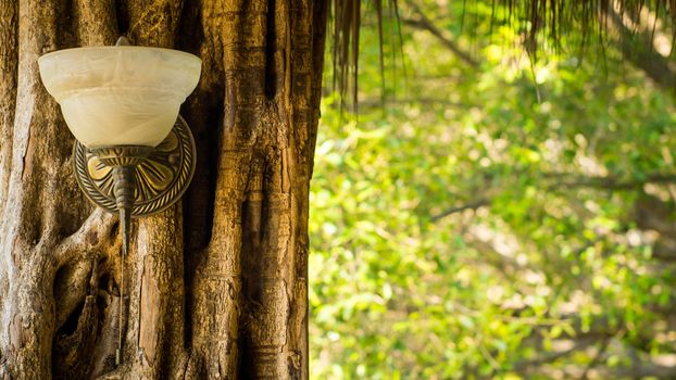 A vintage lamp outside on a tree stump