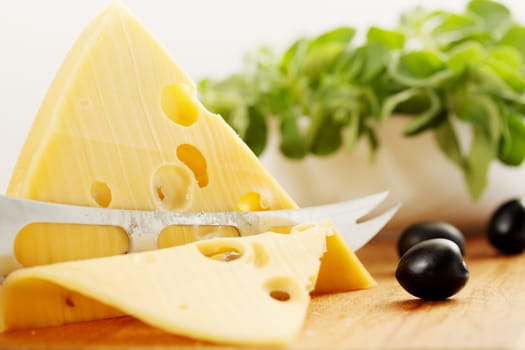 a large piece of  Swiss cheese and black olives