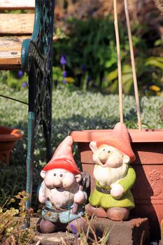 Two garden gnomes in a city garden set next to a green wrought iron and wooden garden bench and in front of a teracotta coloured plastic plant pot. Set on a portrait format.