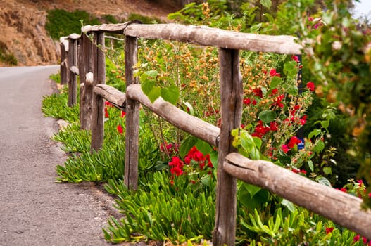 Old wooden fence with flowers.