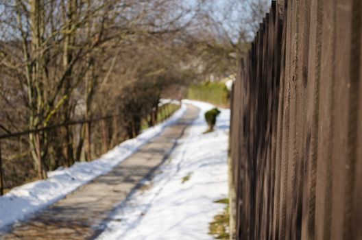 bright brown colored plank fence and winding path trees in spring