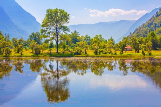 Green nature landscape with mountains, Teletsky lake, Altai Republic