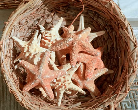 Basket with sea stars for sale.