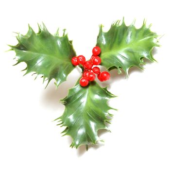 A faux bunch of holly and berries.