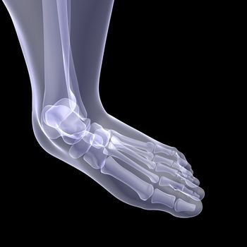 The human foot. X-ray render on a black background