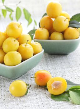 Two plates of the yellow damson plum