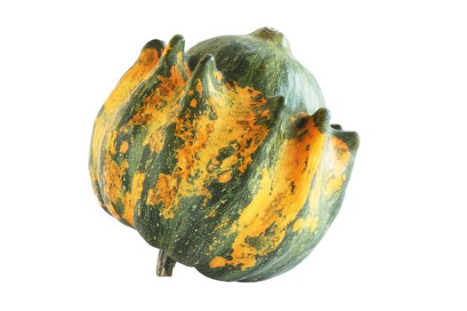 Decorative pumpkin Cucurbita isolated on the white background