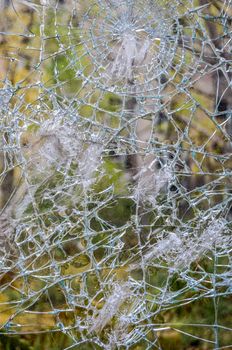 closeup of a window shattered in many pieces