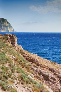 Coastline with pine trees ("Inzhir" reserve, Crimea, Ukraine) 