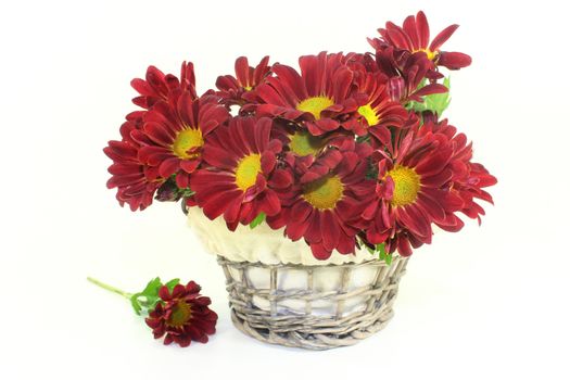 a small bouquet of chrysanthemums on a white background