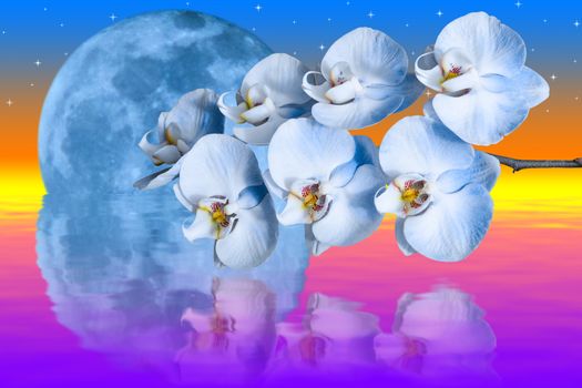 Giant blue moon and romantic orchids flower reflected in water against bright colorful sky