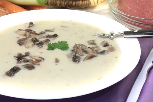 fresh Veal cream soup with mushrooms on a light background