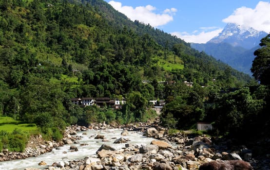 Green rice fields and mountain river landscape, trek to Annapurna Base Camp in Nepal