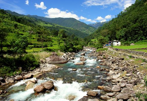 Green rice fields and mountain river landscape, trek to Annapurna Base Camp in Nepal