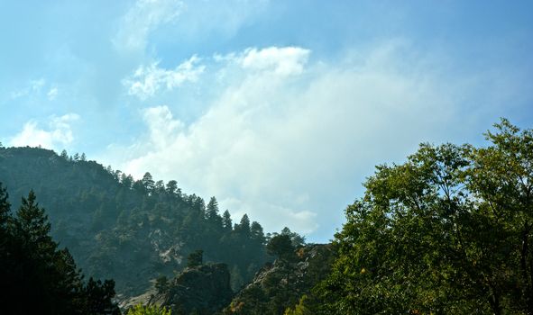 Trees, mountains and nature in Colorado