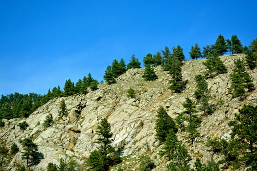 Trees, mountains and nature in Colorado
