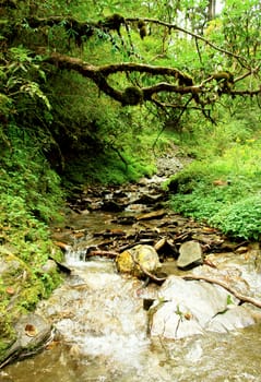 Water stream movement on the stone background, Nepal Himalayan forest 
