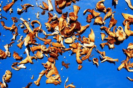Dried wild mushrooms used in asian cousine
