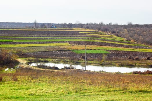 Rural autumn landscape in a calm warm weather