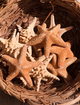 Basket with sea stars for sale.