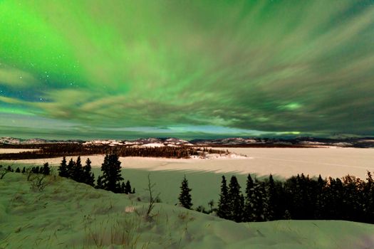 Light clouds and Northern Lights or Aurora borealis or polar lights on night sky over snowy winter landscape of Lake Laberge  Yukon Territory  Canada