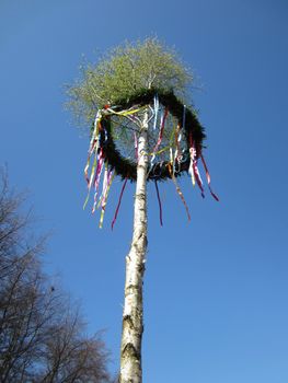 A may tree or maypole