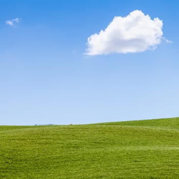 Green field under a blue sky in Val Orcia, Tuscany region, Italy