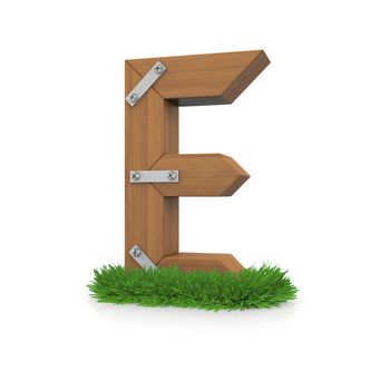 Wooden letter E in the grass. Isolated render with reflection on white background. bio concept