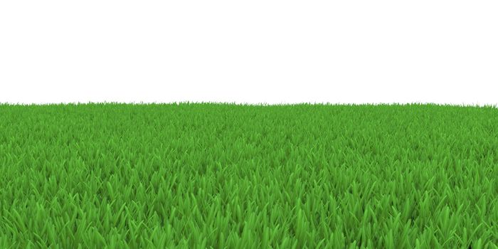 Field of green grass. 3d render on white background