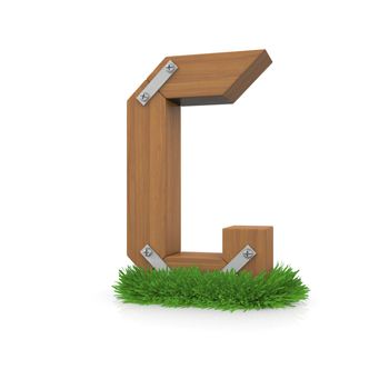 Wooden letter G in the grass. Isolated render with reflection on white background. bio concept
