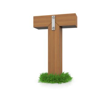 Wooden letter T in the grass. Isolated render with reflection on white background. bio concept