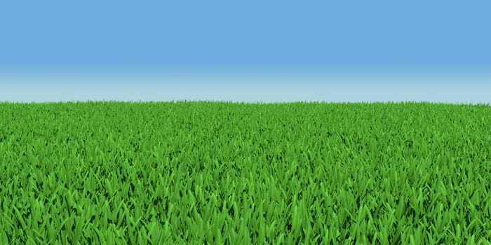 Field of green grass. 3d render on blue sky background