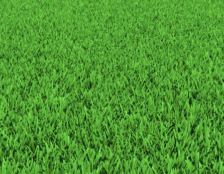 Field of green grass. Background texture, high resolution