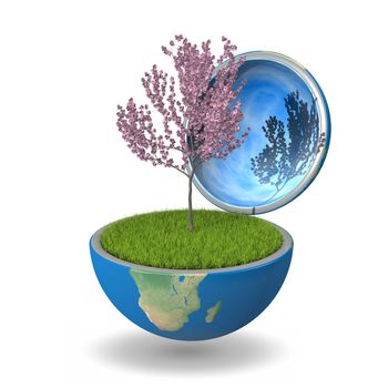 Flowering tree growing inside opened planet Earth, isolated on white background, concept of ecology, symbol of new life