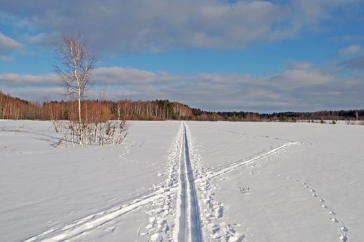 Ski track in a field on forest background