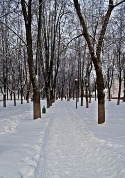 Snow-covered alley in park, winter time