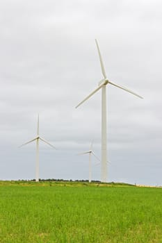 Wind turbines in a green field, source of alternative energy.