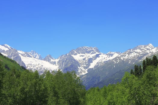 Snowy caucasus mountains and green forest under