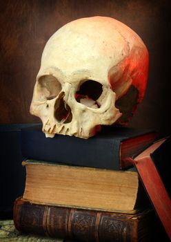  human skull and an old book. search of knowledge concept 