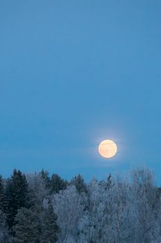 Full moon over frost covered forest