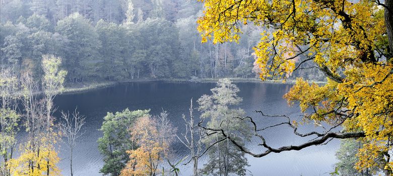 Beautiful autumn park and lake in the Lithuania