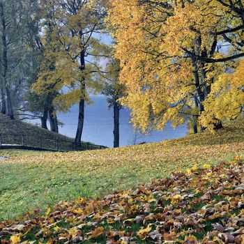 Beautiful autumn park and Asveja lake in 'Asveja Regional Park' in the Lithuania