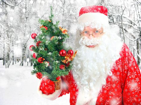 Happy Santa Claus with Christmas Tree in the Winter Forest