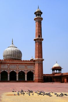 Jama Masjid Mosque, old Delhi, India.