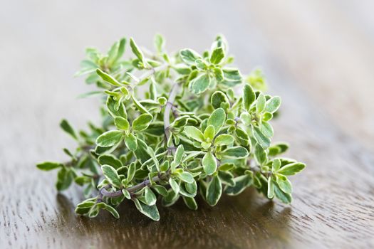 fresh thyme