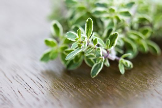 fresh thyme