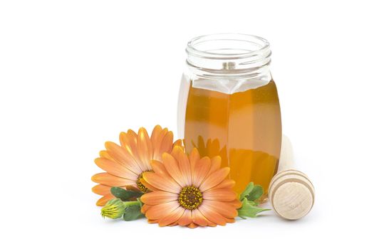 honey and flowers on white