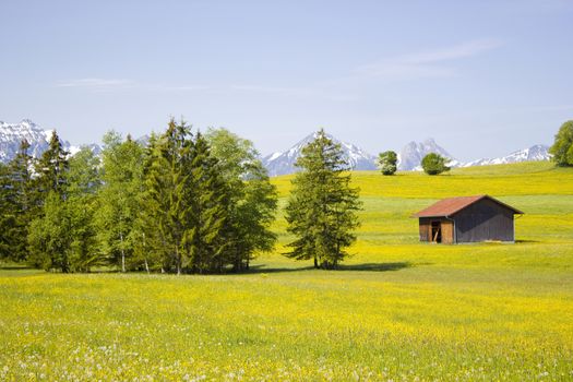 lovely panorama in the alps in Germany
