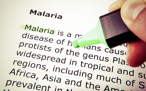 Malaria